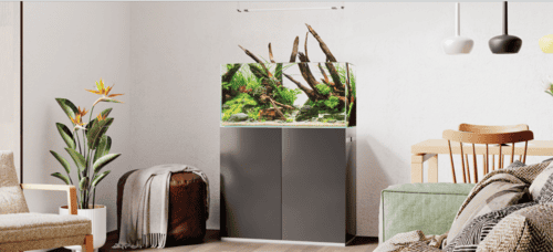 ACQUARI Oase in EXTRACHIARO - immagine 6