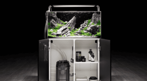 ACQUARI Oase in EXTRACHIARO - immagine 4