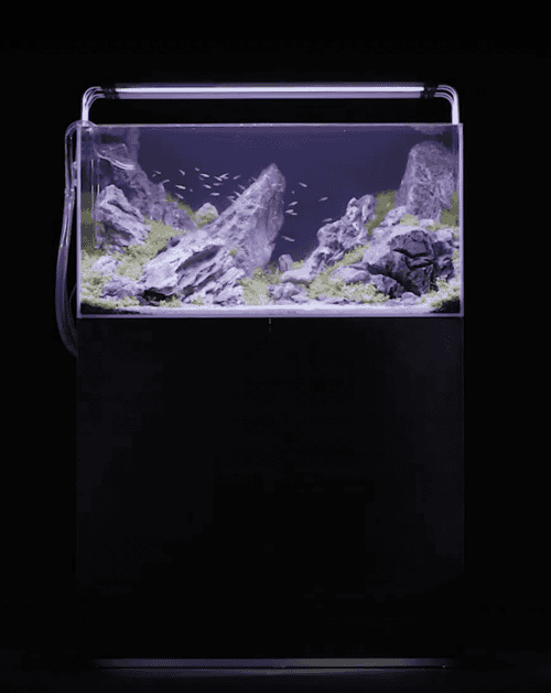 ACQUARI Oase in EXTRACHIARO - immagine 8