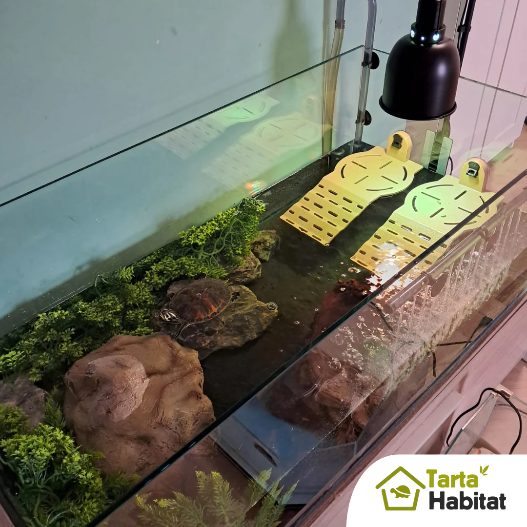 Tarta Habitat Acquario per tartarughe d'acqua 100x50x40/50 h cm - immagine 9