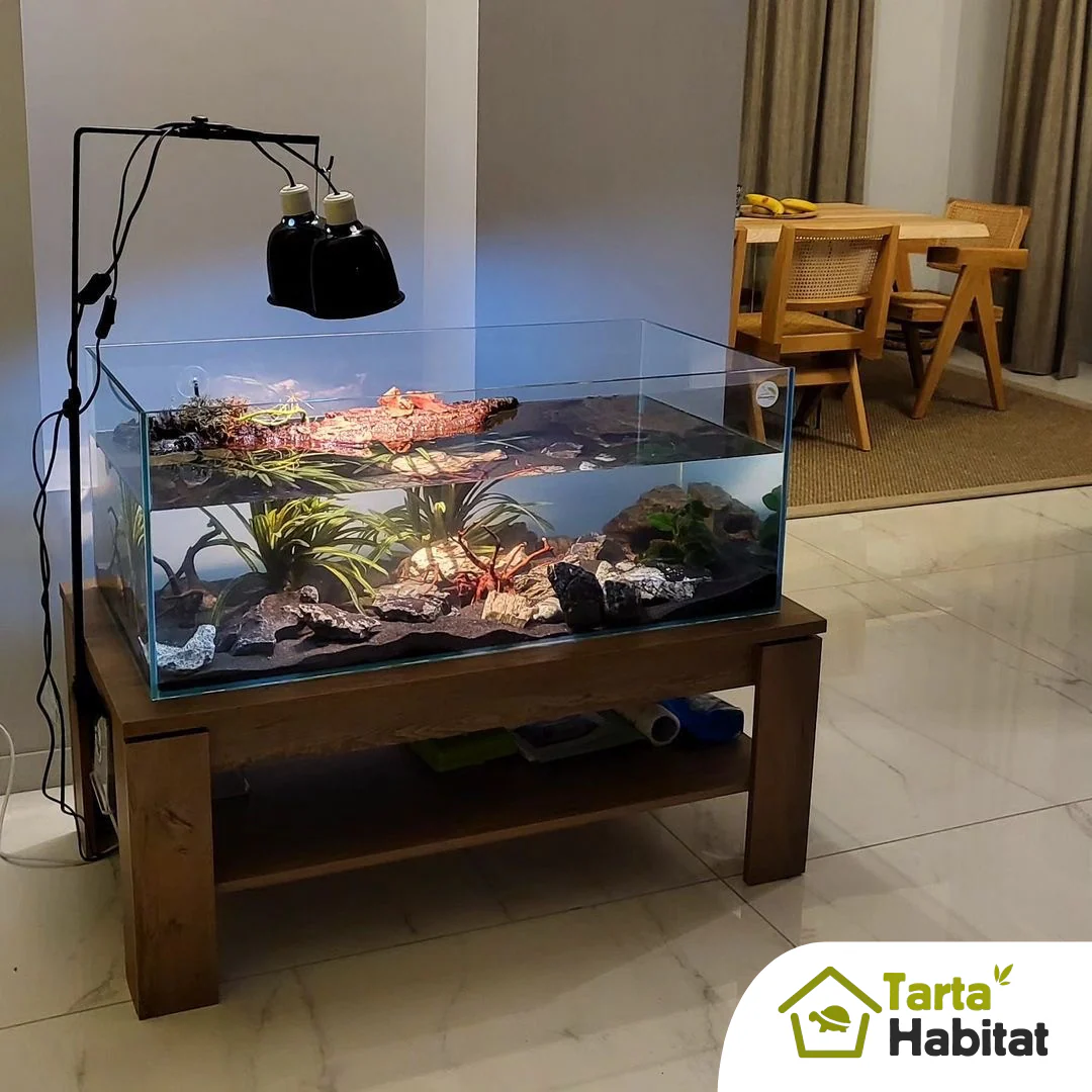 Tarta Habitat Acquario per tartarughe d'acqua 100x50x40/50 h cm - immagine 6