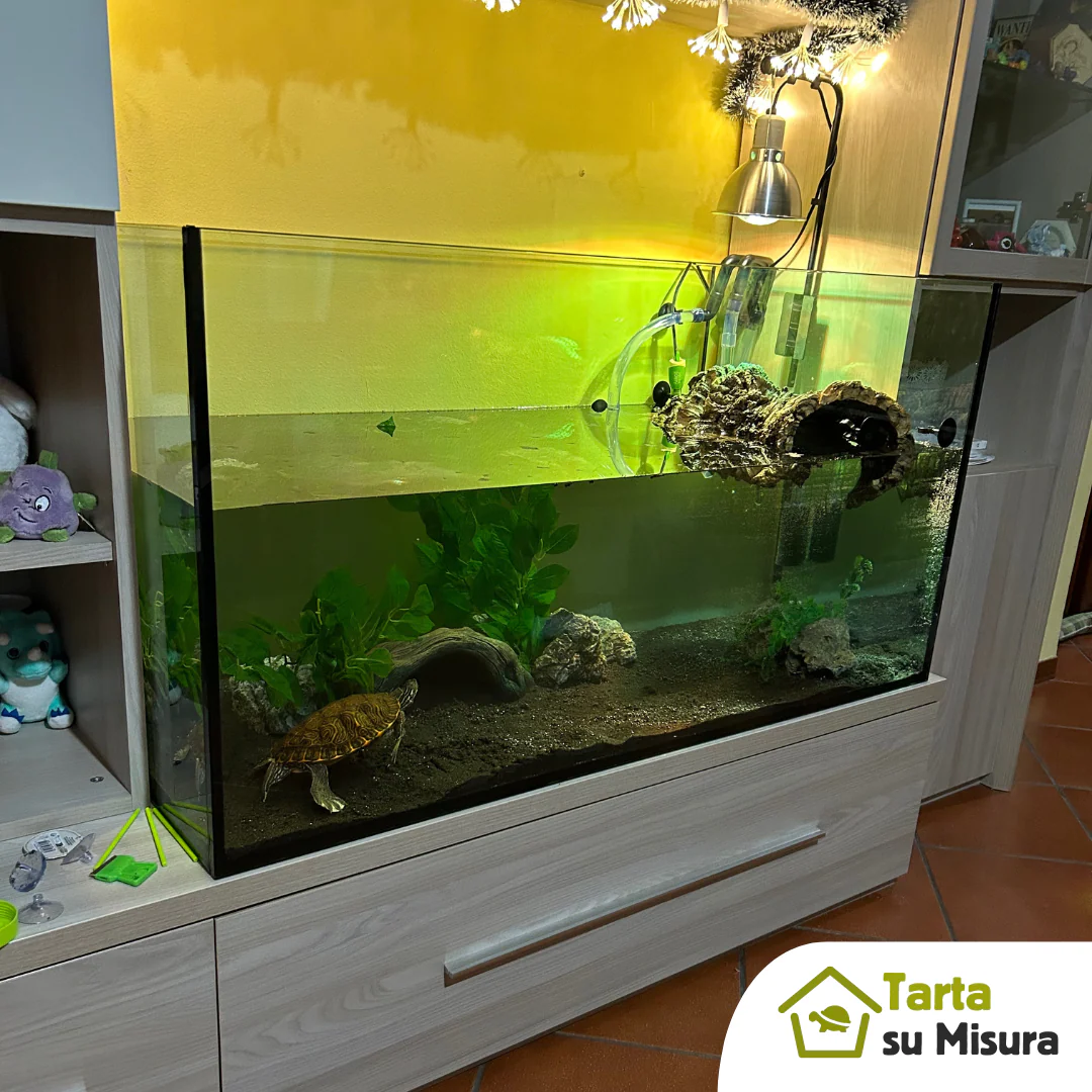 Acquario su misura per tartarughe d'acqua dolce - immagine 5