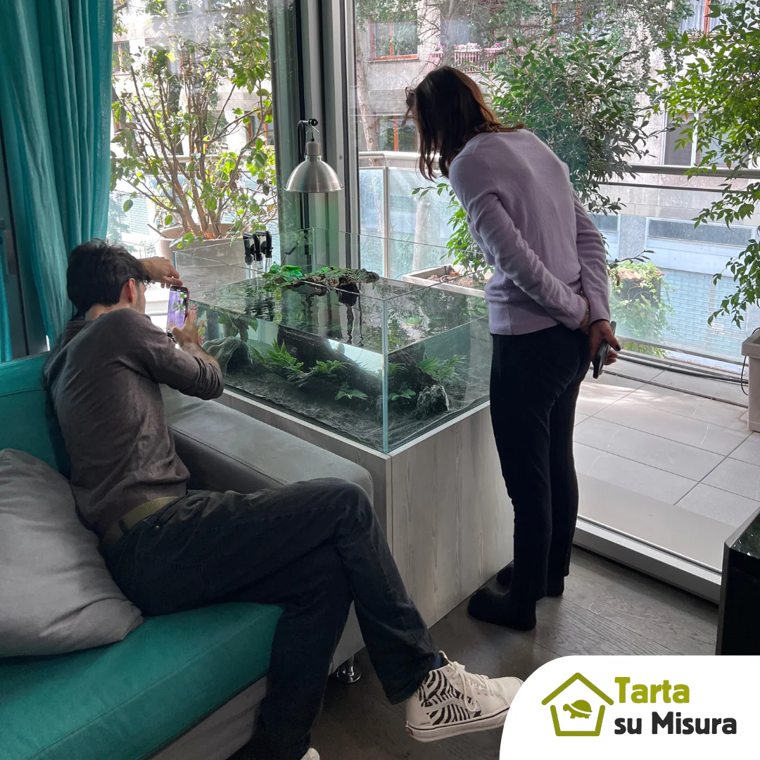 Acquario su misura per tartarughe d'acqua dolce - immagine 6