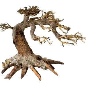 ADA Bonsai Wood M (35x25cm)