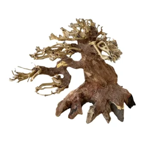 ADA Bonsai Wood S (22x17cm)