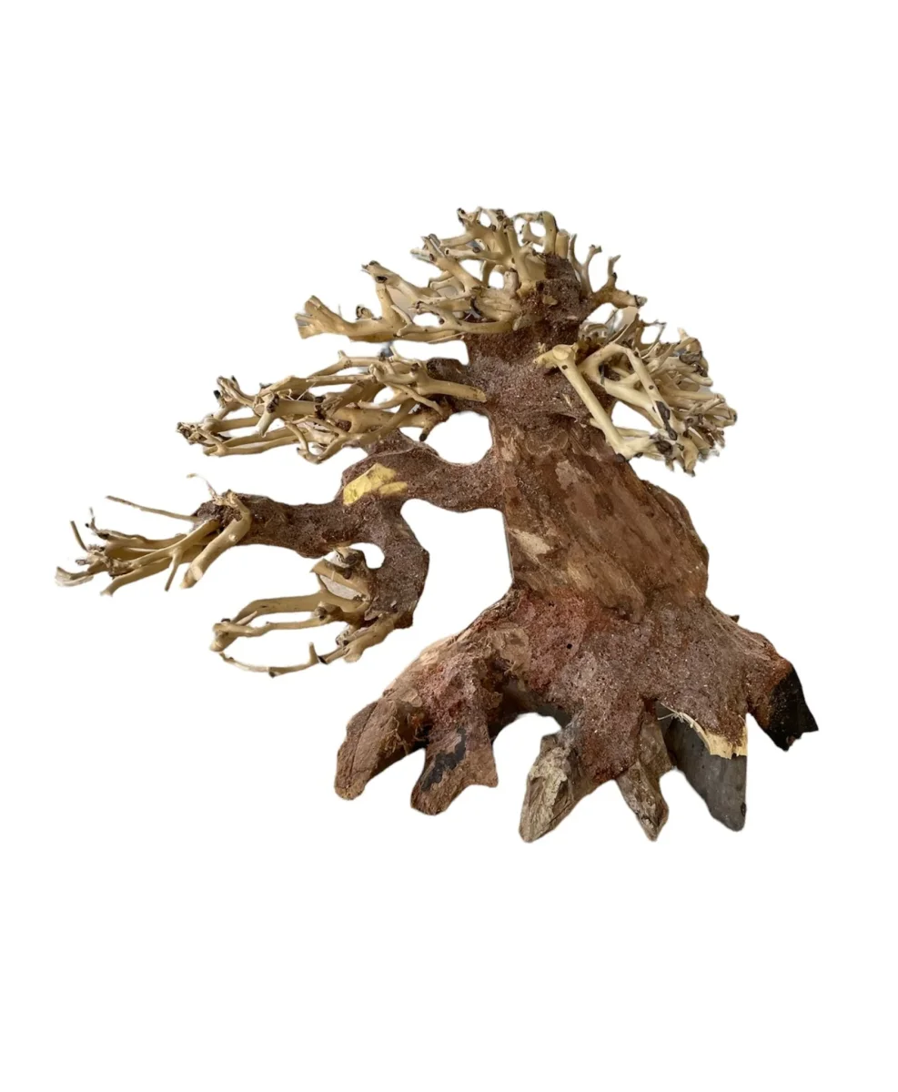 ADA Bonsai Wood S (22x17cm) - immagine 2