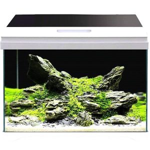 Nano Aquarium Modern Tank 50 LED Équipé AMTRA - 40L
