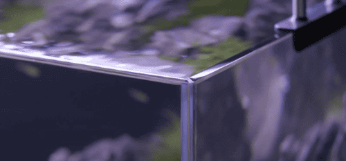 ACQUARI Oase in EXTRACHIARO - immagine 7