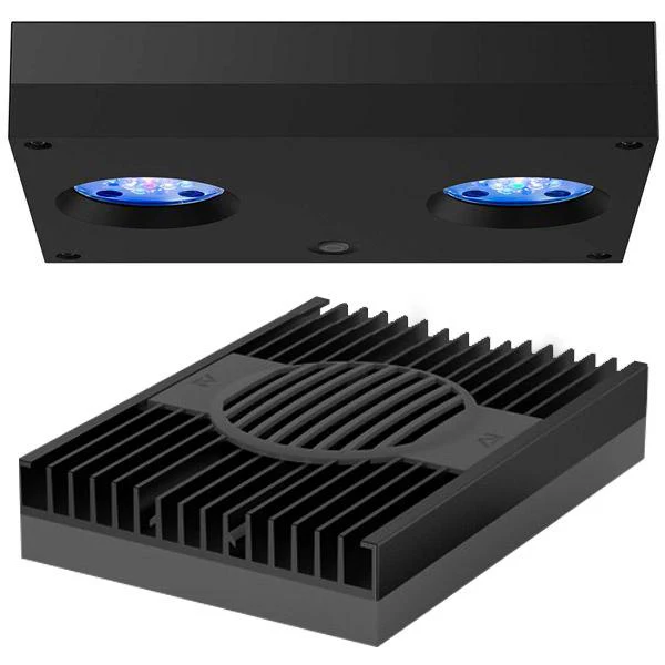 Infinia Reef 190.5 Noir WATERBOX - Aquarium Récifal 517 L - immagine 4