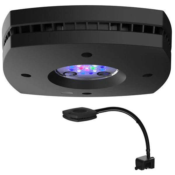 Aquarium AIO 50.3 Noir WATERBOX - 186 L - immagine 4