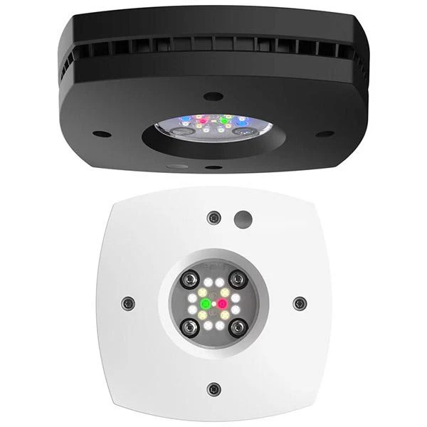 AI Prime Freshwater noir AQUA ILLUMINATION 55W - Rampe LED Eau Douce - immagine 6