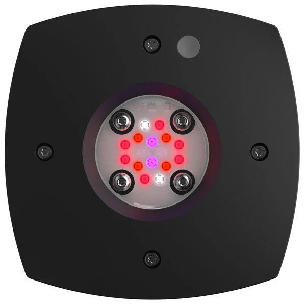 AI Prime Fuge noir AQUA ILLUMINATION 46W - Rampe LED pour Refuge