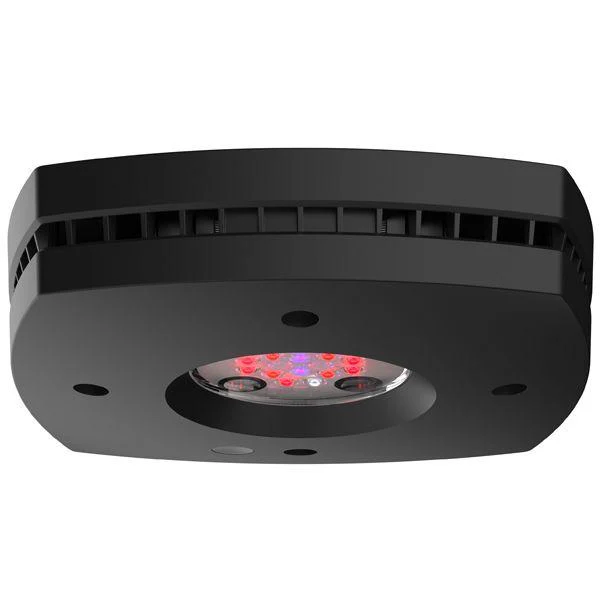 AI Prime Fuge noir AQUA ILLUMINATION 46W - Rampe LED pour Refuge - immagine 3
