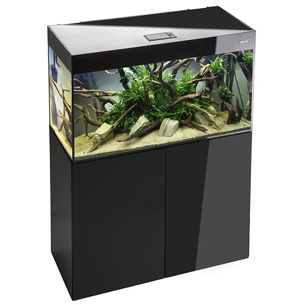 Aquarium Glossy 100 Day & Night Noir Laqué AQUAEL - 215L - immagine 2