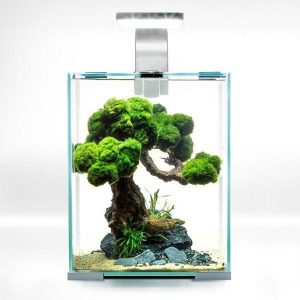 Nano-Aquarium ShrimpSet Smart Day & Night 10 Blanc AQUAEL - 10L