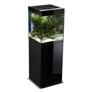 Aquarium Glossy Cube Day & Night Noir Laqué LED AQUAEL - 135L