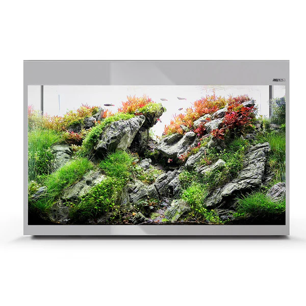 Aquarium Glossy 80 Day & Night Gris Laqué LED AQUAEL - 125L - immagine 4