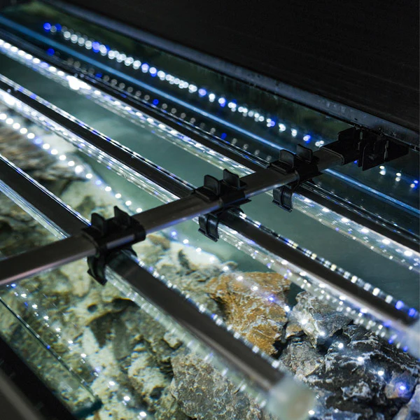 Aquarium Glossy 150 Day & Night Blanc Laqué LED AQUAEL - 405L - immagine 9