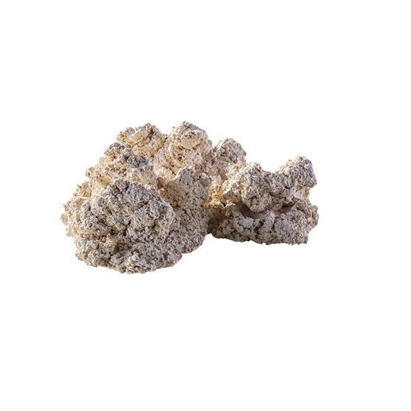 Roche Céramique Reef Back Plane Puzzle - 30 cm ARKA - immagine 3