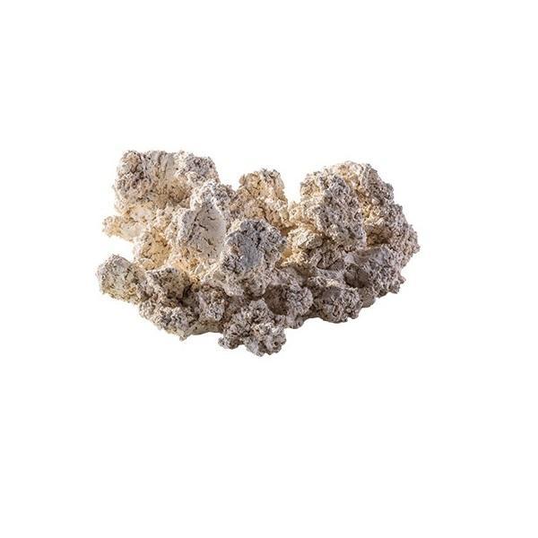 Roche Céramique Reef Back Plane Puzzle - 30 cm ARKA