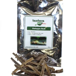 Tantora Catappa Bark