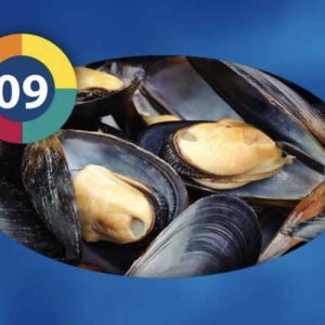 POLPA DI COZZE CONGELATA