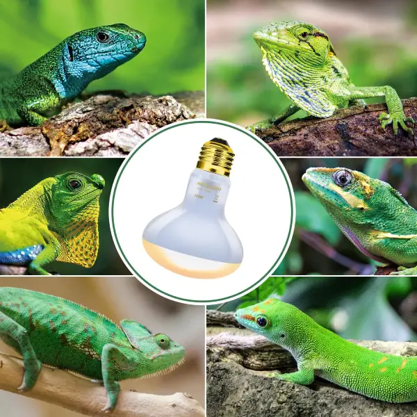 Lampe Basking Spot Daylight REPTIZOO - 50W - immagine 6