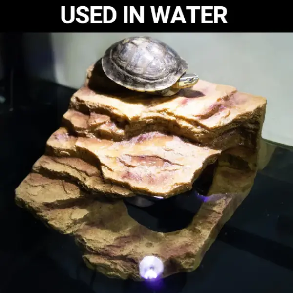 Grotte d'Angle Desert Corner Hide Cave REPTIZOO - 18 ou 25 cm - immagine 4