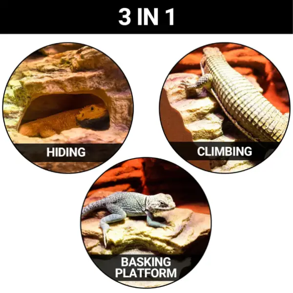 Grotte d'Angle Desert Corner Hide Cave REPTIZOO - 18 ou 25 cm - immagine 5