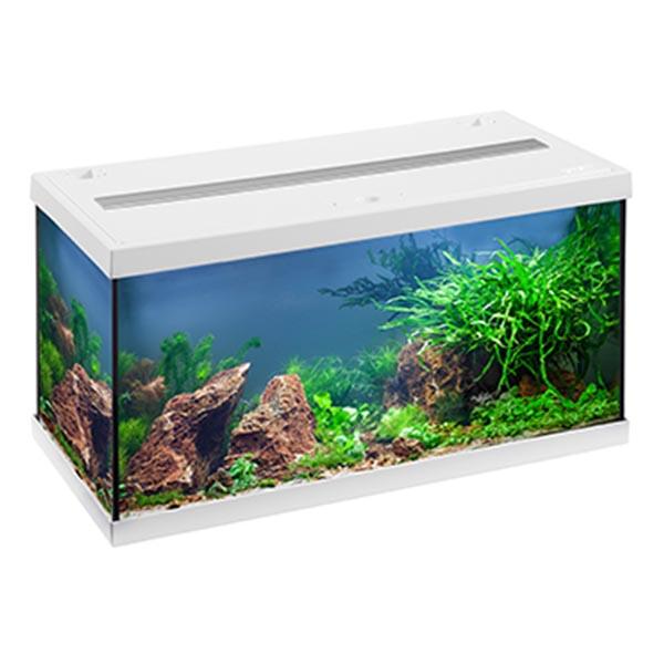 Aquarium AquaStar 54 LED Blanc Équipé Eau Douce EHEIM - 54L - immagine 2