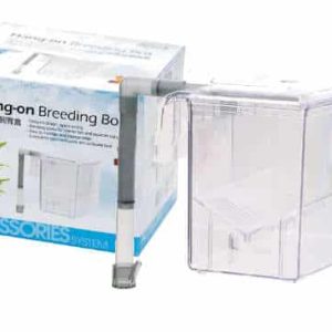 Ista - Sala parto esterna 17x13x13h(cm)