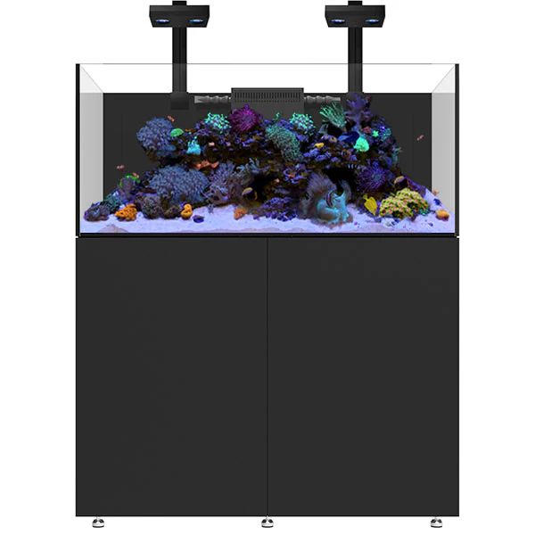 Infinia Reef 150.4 Noir WATERBOX - Aquarium Récifal 400 L - immagine 2