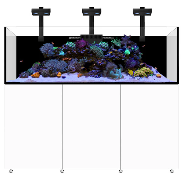 Infinia Reef 230.6 Blanc WATERBOX - Aquarium Récifal 630 L - immagine 2