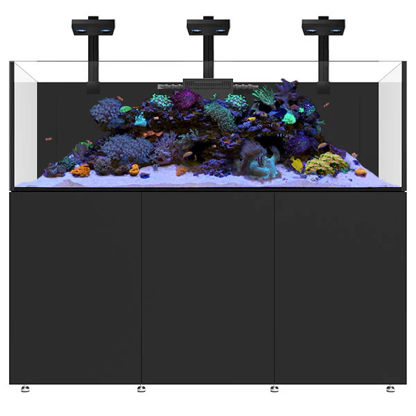 Infinia Reef 230.6 Noir WATERBOX - Aquarium Récifal 630 L - immagine 2