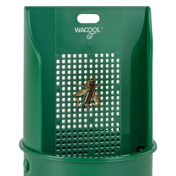 Mangeoire Arboricole Insectes REPTIZOO - 20 cm - immagine 4