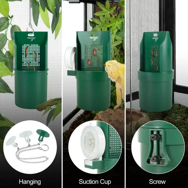 Mangeoire Arboricole Insectes REPTIZOO - 20 cm - immagine 9