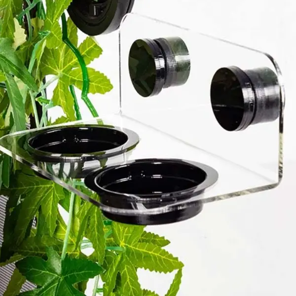 Mangeoire Double Translucide REPTIZOO - 15 cm - immagine 3