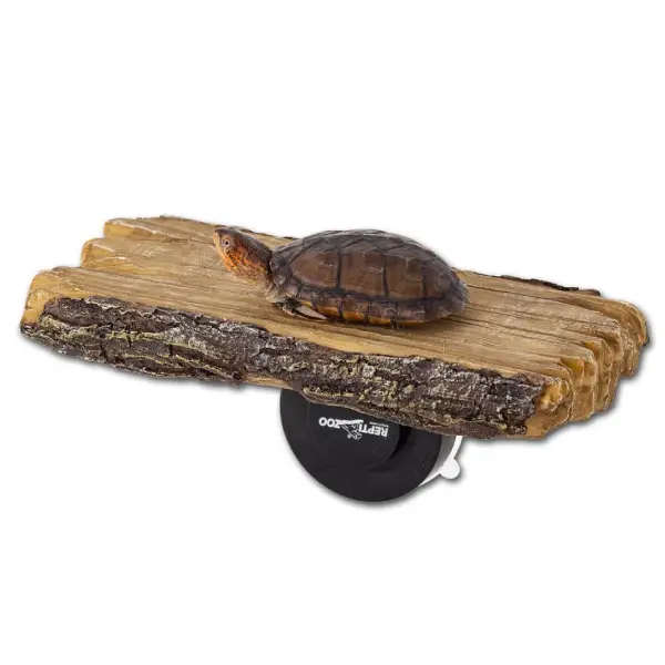 Mangeoire Double 2 en 1 ou Rampe Tortues REPTIZOO - 20 cm - immagine 6