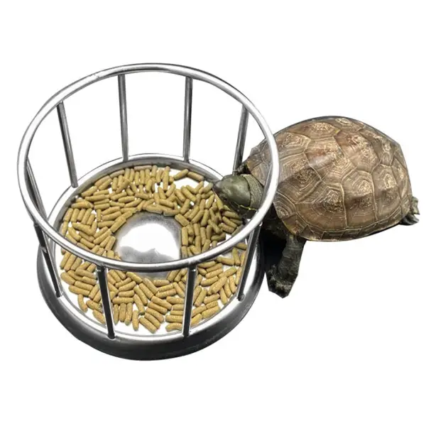 Mangeoire pour Tortue REPTIZOO - 11,5 cm - immagine 3
