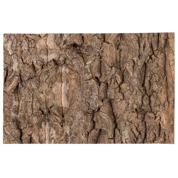 Plaque de Fond en Liège Natural Cork Tile REPTIZOO - 20 x 15 cm