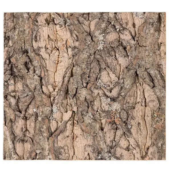 Plaque de Fond en Liège Natural Cork Tile REPTIZOO - 20 x 20 cm