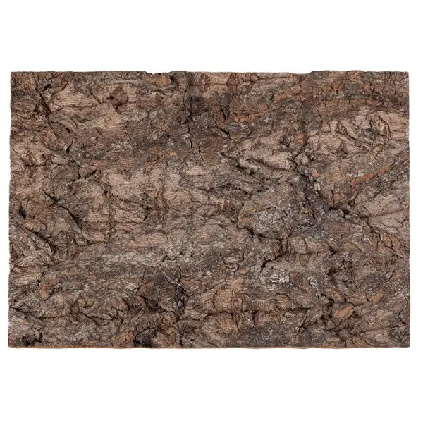 Plaque de Fond en Liège Natural Cork Tile REPTIZOO - 20 x 30 cm