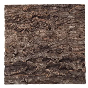 Plaque de Fond en Liège Natural Cork Tile REPTIZOO - 30 x 32 cm