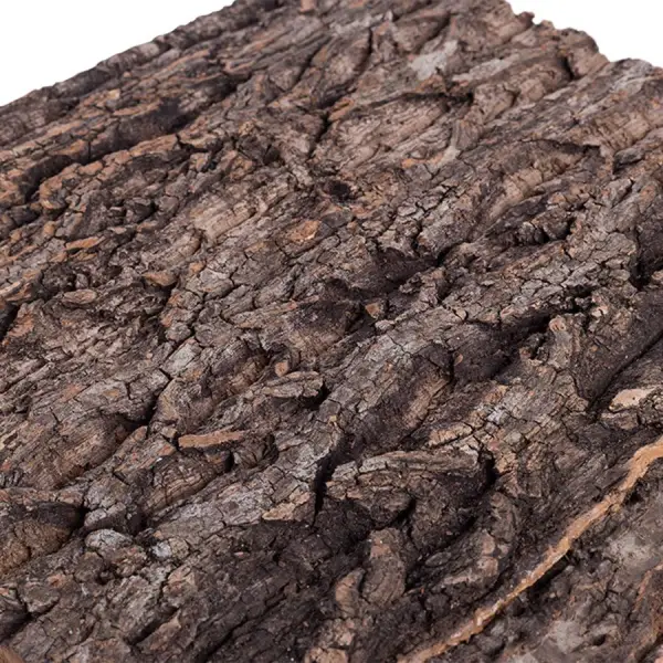 Plaque de Fond en Liège Natural Cork Tile REPTIZOO - 30 x 32 cm - immagine 5