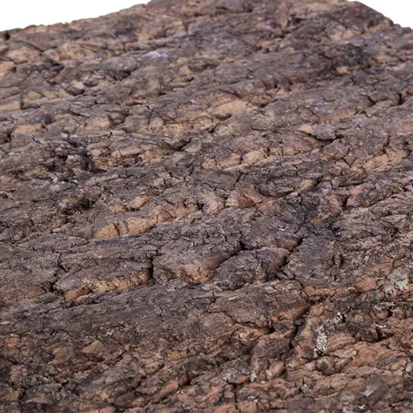 Plaque de Fond en Liège Natural Cork Tile REPTIZOO - 45 x 45 cm - immagine 4