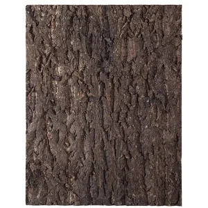 Plaque de Fond en Liège Natural Cork Tile REPTIZOO - 45 x 60 cm