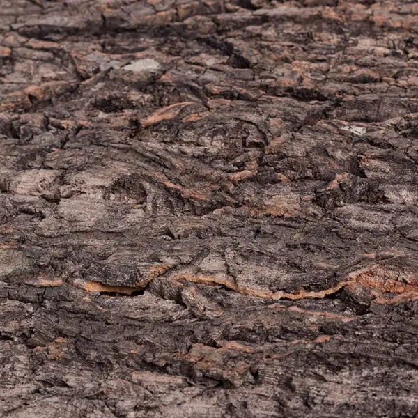 Plaque de Fond en Liège Natural Cork Tile REPTIZOO - 60 x 45 cm - immagine 6