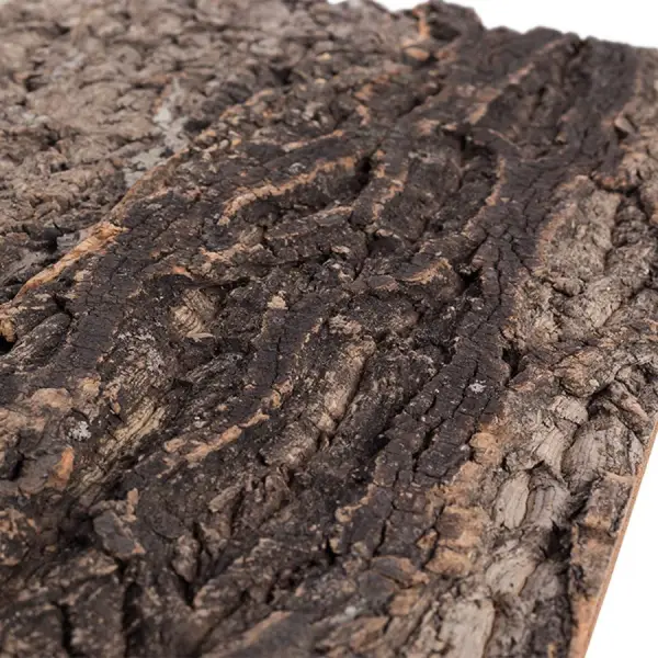 Plaque de Fond en Liège Natural Cork Tile REPTIZOO - 60 x 45 cm - immagine 5