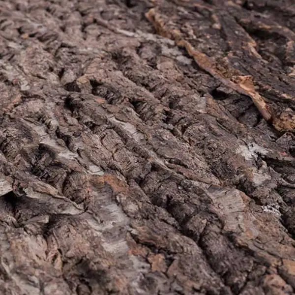 Plaque de Fond en Liège Natural Cork Tile REPTIZOO - 60 x 60 cm - immagine 3