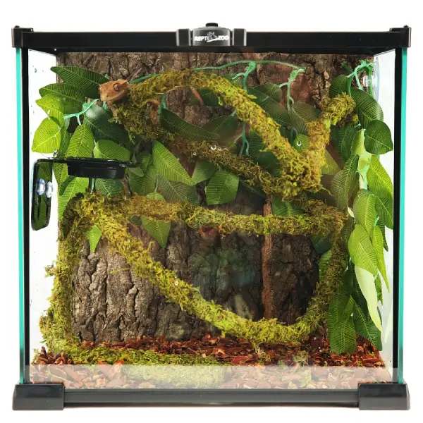 Liane Vine Moss Natural REPTIZOO - 200 x 2 cm - immagine 5